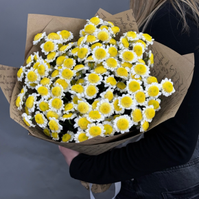Букет "Моё солнышко" из 11 хризантем сантини  в Кубинке