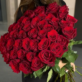 Букет 51 роза Эквадор Эксплорер (60 см) в Кубинке