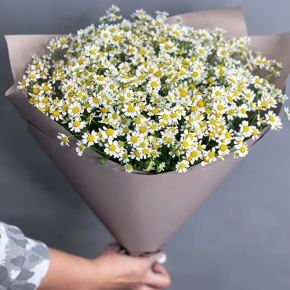 Букет из 17 ромашек танацетум в Кубинке