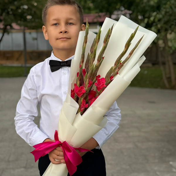 Букет на 1 сентября из 7 малиновых гладиолусов в Кубинке