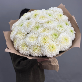 Букет из 27 хризантем Магнум в Кубинке