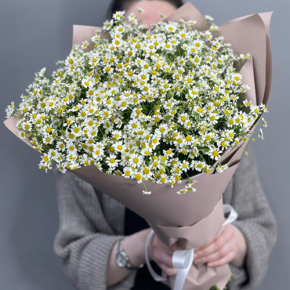 Букет из 17 полевых ромашек в Кубинке