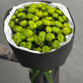 Стильный букет "Лайм" из 15 хризантем сантини в Кубинке