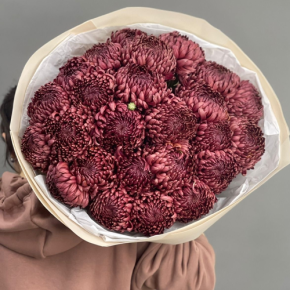 Букет 21 шоколадной хризантемы Бигоуди в Кубинке