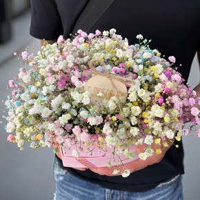 Композиция в коробке сердца из радужных гипсофил с топпером в Кубинке