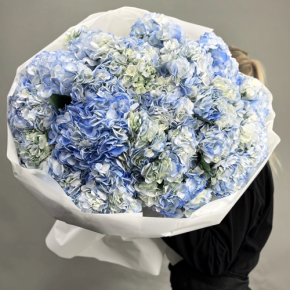 Букет из 23 синих гортензий в Кубинке