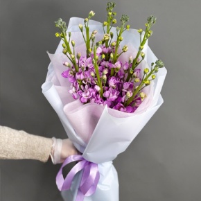 Букет из 7 розовых маттиол в Кубинке