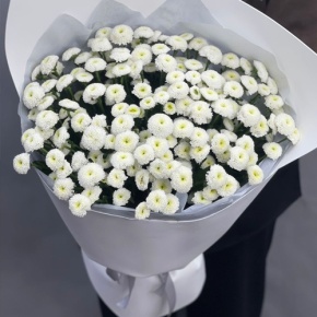 Букет "Белая дымка" из 25 хризантем сантини в Кубинке