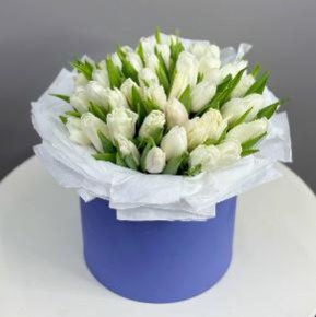 Букет из 49 белых тюльпанов в синей коробке в Кубинке