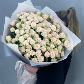 Букет из 25 кремовых кустовых роз (70 см) в Кубинке