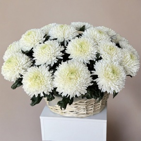 Композиция в корзине из 25 хризантем Магнум в Кубинке