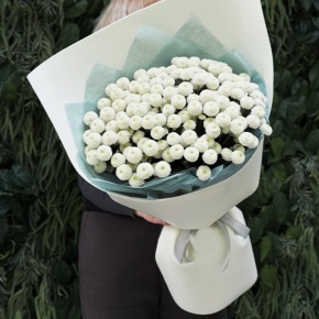 Букет из 25 хризантем Ньютон в Кубинке