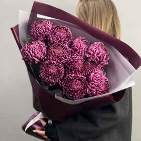 Букет "Изобилие" из 11 винных хризантем Бигоуди в Кубинке