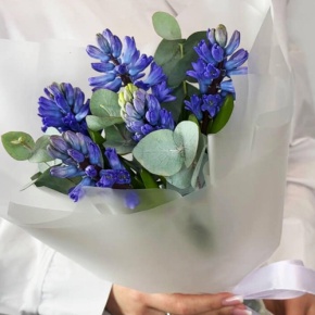 Букет "Мини" из 5 ароматных гиацинтов и эвкалипта в Кубинке