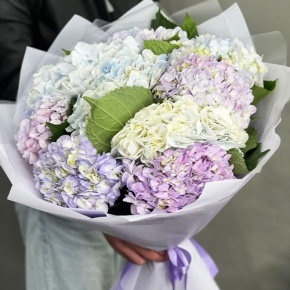 Букет из 9 Голландских гортензий микс в Кубинке