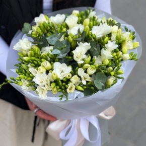 Букет из 51 белой фрезии в Кубинке