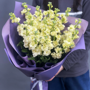 Букет из 15 лимонных маттиол в Кубинке