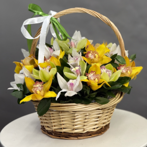 Композиция в корзине из 25 орхидей микс в Кубинке