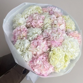 Букет из 17 нежных гортензий в Кубинке