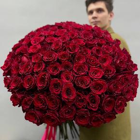 Букет из 101 красной Эквадорской розы Эксплорер (70 см) в Кубинке
