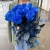 15 синих LUX роз Эквадор (70 см) в Кубинке