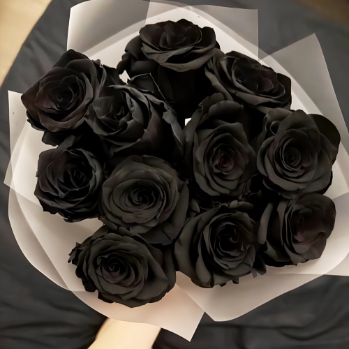 Букет "Черная королева" из 11 черных роз Эквадор (60 см) в Кубинке
