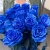 15 синих LUX роз Эквадор (70 см) в Кубинке