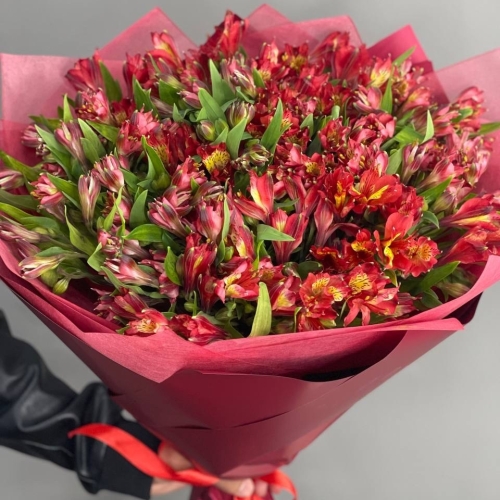 Монобукет из 25 красных альстромерий в Кубинке