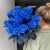 15 синих LUX роз Эквадор (70 см) в Кубинке