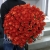 Букет 101 коралловая роза (60 см) в Кубинке Букет 101 коралловая роза (60 см) в Кубинке