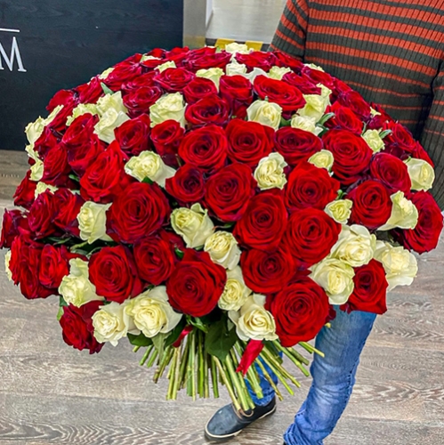 Букет 151 роза красный и белый микс (60 см) в Кубинке