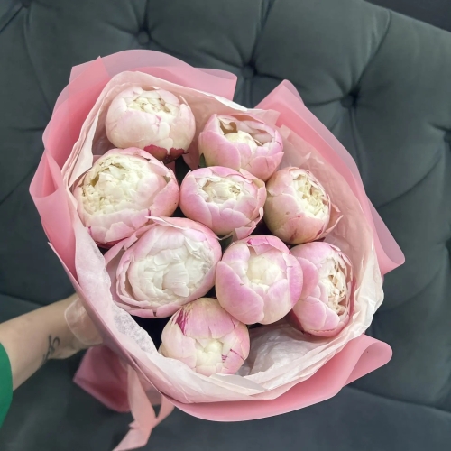 Букет из 9 нежных пионов Гардения в Кубинке