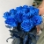 15 синих LUX роз Эквадор (70 см) в Кубинке