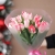 Букет "Фламинго" из 11 пионовидных тюльпанов в Кубинке