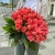 Букет 51 роза коралл (60 см) в Кубинке Букет 51 роза коралл (60 см) в Кубинке
