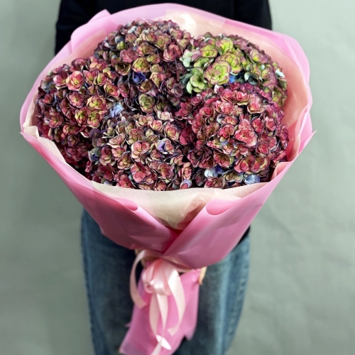 Букет из 5 космических Голландских гортензий в Кубинке