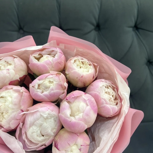 Букет из 9 нежных пионов Гардения в Кубинке