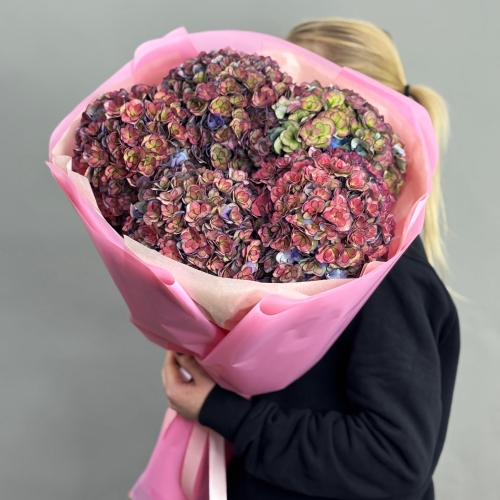 Букет из 5 космических Голландских гортензий в Кубинке